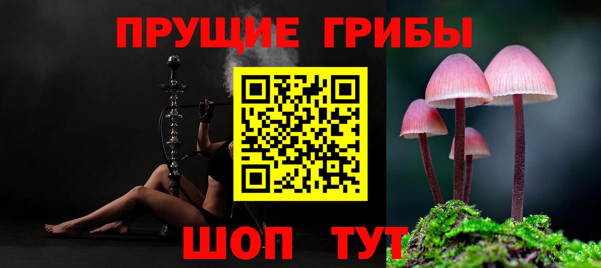 Псилоцибиновые грибы GOLDEN TEACHER Владивосток